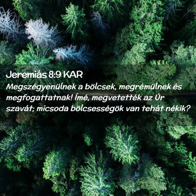 Picture 02 - Jeremiás 8:9 KAR - Megszégyenülnek a bölcsek, megrémülnek és - Bible Verse Picture