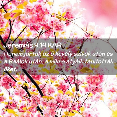 Picture 02 - Jeremiás 9:14 KAR - Hanem jártak az õ kevély szívök után és a - Bible Verse Picture
