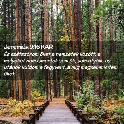 Picture 02 - Jeremiás 9:16 KAR - És szétszórom õket a nemzetek között, a - Bible Verse Picture