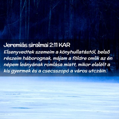 Picture 02 - Jeremiás siralmai 2:11 KAR - Elsenyvedtek szemeim a könyhullatástól, belsõ - Bible Verse Picture