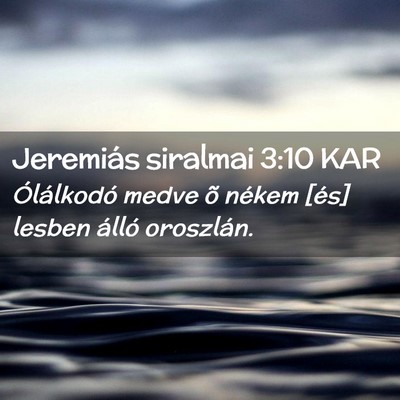 Picture 02 - Jeremiás siralmai 3:10 KAR - Ólálkodó medve õ nékem [és] lesben álló - Bible Verse Picture