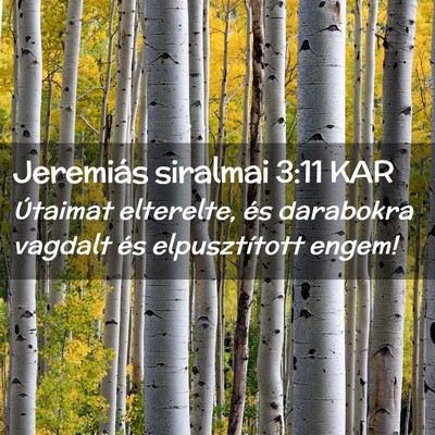 Picture 02 - Jeremiás siralmai 3:11 KAR - Útaimat elterelte, és darabokra vagdalt és - Bible Verse Picture