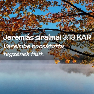 Picture 02 - Jeremiás siralmai 3:13 KAR - Veséimbe bocsátotta tegzének - Bible Verse Picture