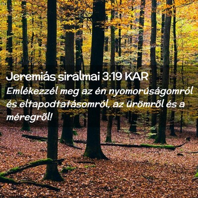Picture 02 - Jeremiás siralmai 3:19 KAR - Emlékezzél meg az én nyomorúságomról és - Bible Verse Picture