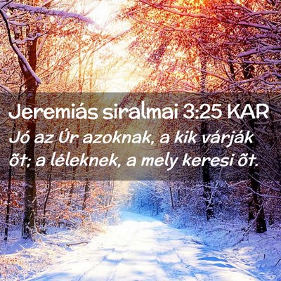 Picture 02 - Jeremiás siralmai 3:25 KAR - Jó az Úr azoknak, a kik várják õt; a - Bible Verse Picture