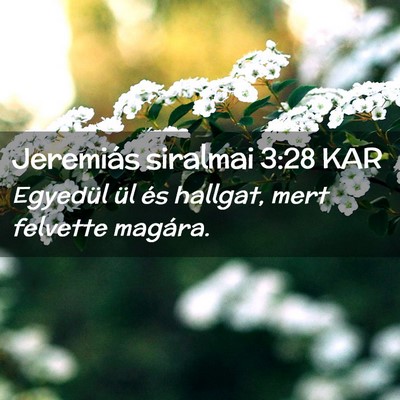 Picture 02 - Jeremiás siralmai 3:28 KAR - Egyedül ül és hallgat, mert felvette - Bible Verse Picture