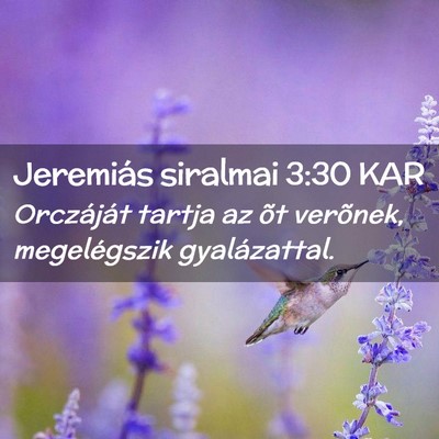 Picture 02 - Jeremiás siralmai 3:30 KAR - Orczáját tartja az õt verõnek, megelégszik - Bible Verse Picture