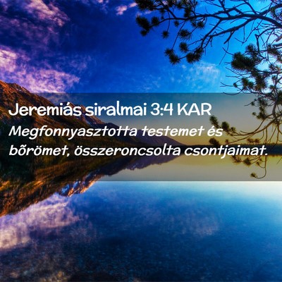 Picture 02 - Jeremiás siralmai 3:4 KAR - Megfonnyasztotta testemet és bõrömet, - Bible Verse Picture