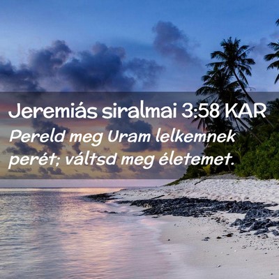 Picture 02 - Jeremiás siralmai 3:58 KAR - Pereld meg Uram lelkemnek perét; váltsd meg - Bible Verse Picture