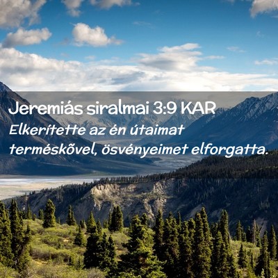 Picture 02 - Jeremiás siralmai 3:9 KAR - Elkerítette az én útaimat terméskõvel, - Bible Verse Picture