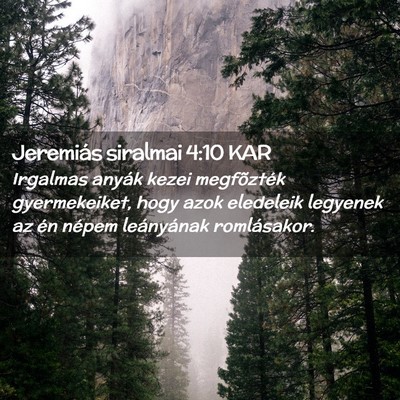 Picture 02 - Jeremiás siralmai 4:10 KAR - Irgalmas anyák kezei megfõzték gyermekeiket, - Bible Verse Picture