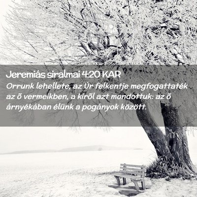 Picture 02 - Jeremiás siralmai 4:20 KAR - Orrunk lehellete, az Úr felkentje megfogattaték - Bible Verse Picture