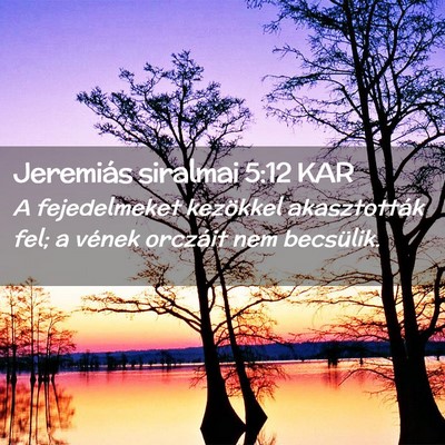 Picture 02 - Jeremiás siralmai 5:12 KAR - A fejedelmeket kezökkel akasztották fel; a - Bible Verse Picture