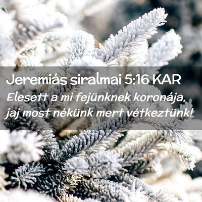 Picture 02 - Jeremiás siralmai 5:16 KAR - Elesett a mi fejünknek koronája, jaj most - Bible Verse Picture