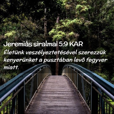 Picture 02 - Jeremiás siralmai 5:9 KAR - Életünk veszélyeztetésével szerezzük - Bible Verse Picture