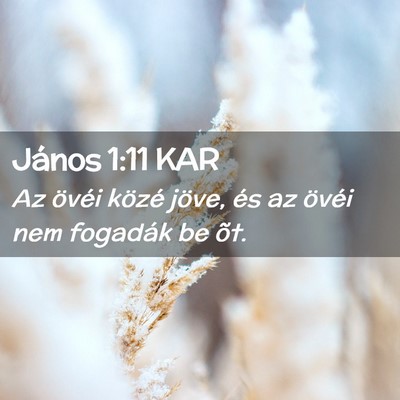 Picture 02 - János 1:11 KAR - Az övéi közé jöve, és az övéi nem - Bible Verse Picture