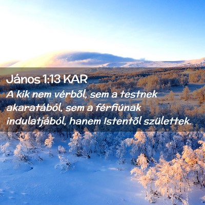 Picture 02 - János 1:13 KAR - A kik nem vérbõl, sem a testnek akaratából, - Bible Verse Picture