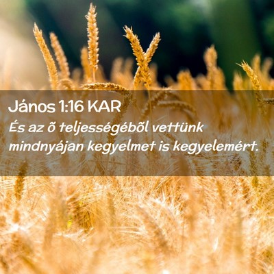 Picture 02 - János 1:16 KAR - És az õ teljességébõl vettünk mindnyájan - Bible Verse Picture