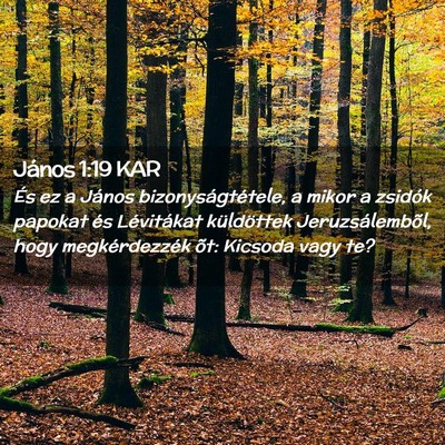 Picture 02 - János 1:19 KAR - És ez a János bizonyságtétele, a mikor a - Bible Verse Picture