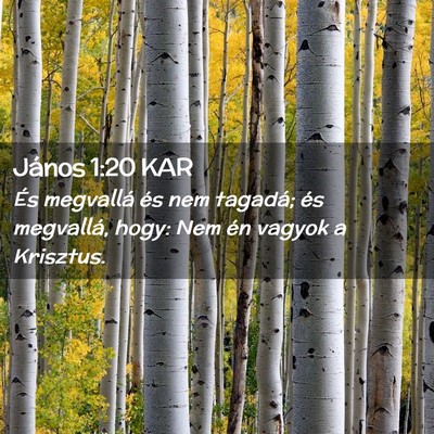Picture 02 - János 1:20 KAR - És megvallá és nem tagadá; és megvallá, - Bible Verse Picture