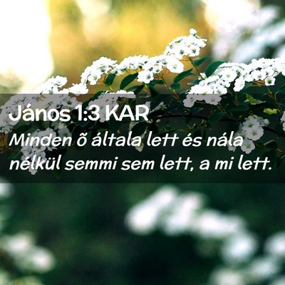 Picture 02 - János 1:3 KAR - Minden õ általa lett és nála nélkül semmi - Bible Verse Picture