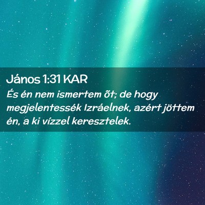 Picture 02 - János 1:31 KAR - És én nem ismertem õt; de hogy megjelentessék - Bible Verse Picture
