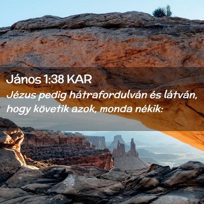 Picture 02 - János 1:38 KAR - Jézus pedig hátrafordulván és látván, hogy - Bible Verse Picture