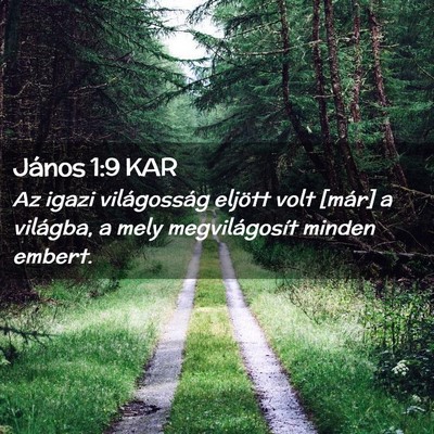 Picture 02 - János 1:9 KAR - Az igazi világosság eljött volt [már] a - Bible Verse Picture