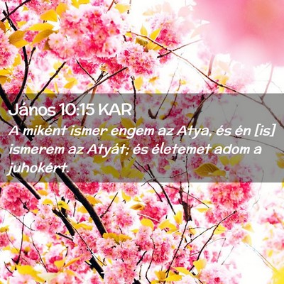 Picture 02 - János 10:15 KAR - A miként ismer engem az Atya, és én [is] - Bible Verse Picture