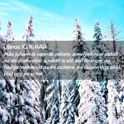 Picture 02 - János 10:16 KAR - Más juhaim is vannak nékem, a melyek nem ebbõl - Bible Verse Picture