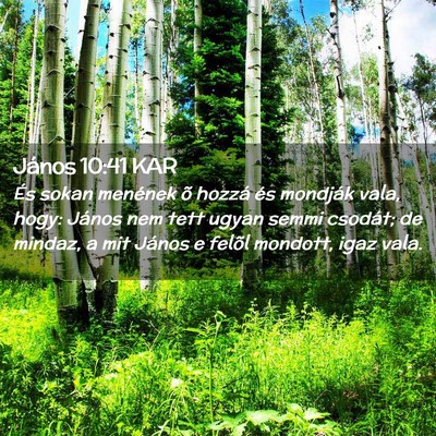 Picture 02 - János 10:41 KAR - És sokan menének õ hozzá és mondják vala, - Bible Verse Picture