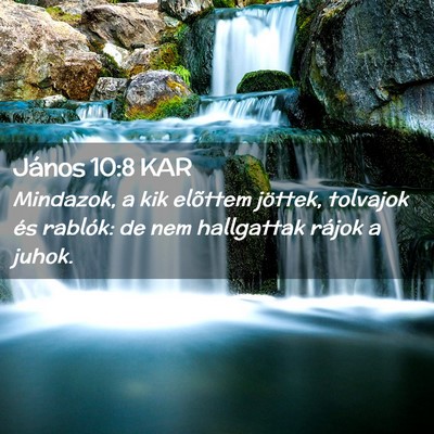 Picture 02 - János 10:8 KAR - Mindazok, a kik elõttem jöttek, tolvajok és - Bible Verse Picture