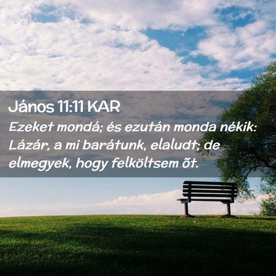 Picture 02 - János 11:11 KAR - Ezeket mondá; és ezután monda nékik: Lázár, - Bible Verse Picture