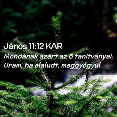 Picture 02 - János 11:12 KAR - Mondának azért az õ tanítványai: Uram, ha - Bible Verse Picture