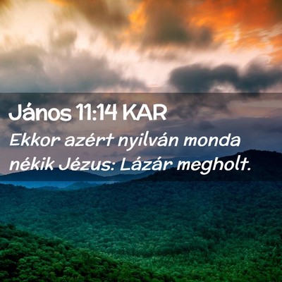 Picture 02 - János 11:14 KAR - Ekkor azért nyilván monda nékik Jézus: - Bible Verse Picture