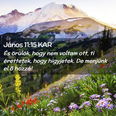 Picture 02 - János 11:15 KAR - És örülök, hogy nem voltam ott, ti - Bible Verse Picture
