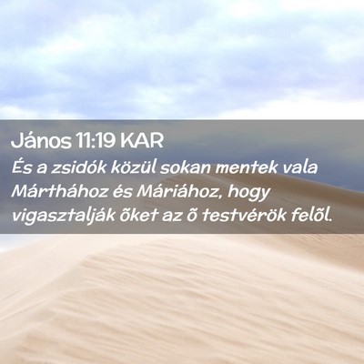 Picture 02 - János 11:19 KAR - És a zsidók közül sokan mentek vala - Bible Verse Picture