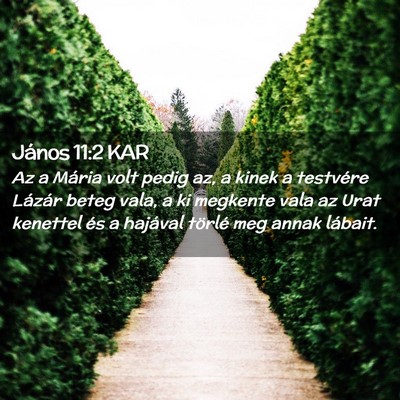 Picture 02 - János 11:2 KAR - Az a Mária volt pedig az, a kinek a testvére - Bible Verse Picture