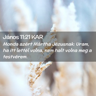 Picture 02 - János 11:21 KAR - Monda azért Mártha Jézusnak: Uram, ha itt - Bible Verse Picture