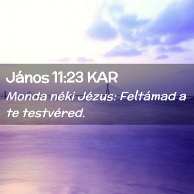 Picture 02 - János 11:23 KAR - Monda néki Jézus: Feltámad a te - Bible Verse Picture