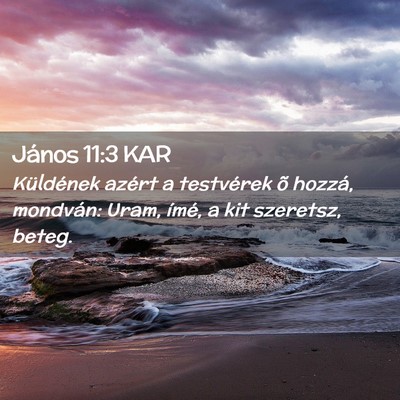 Picture 02 - János 11:3 KAR - Küldének azért a testvérek õ hozzá, - Bible Verse Picture