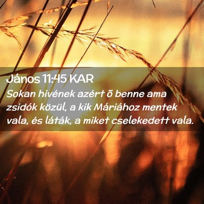 Picture 02 - János 11:45 KAR - Sokan hivének azért õ benne ama zsidók - Bible Verse Picture