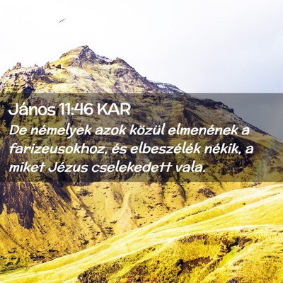 Picture 02 - János 11:46 KAR - De némelyek azok közül elmenének a - Bible Verse Picture