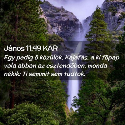 Picture 02 - János 11:49 KAR - Egy pedig õ közülök, Kajafás, a ki fõpap - Bible Verse Picture