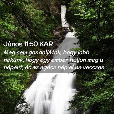 Picture 02 - János 11:50 KAR - Meg sem gondoljátok, hogy jobb nékünk, hogy - Bible Verse Picture