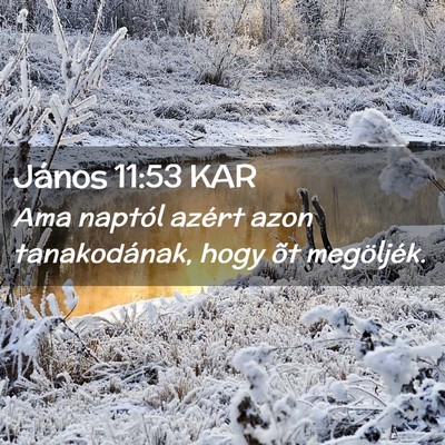 Picture 02 - János 11:53 KAR - Ama naptól azért azon tanakodának, hogy õt - Bible Verse Picture