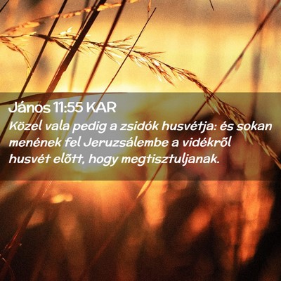 Picture 02 - János 11:55 KAR - Közel vala pedig a zsidók husvétja: és sokan - Bible Verse Picture