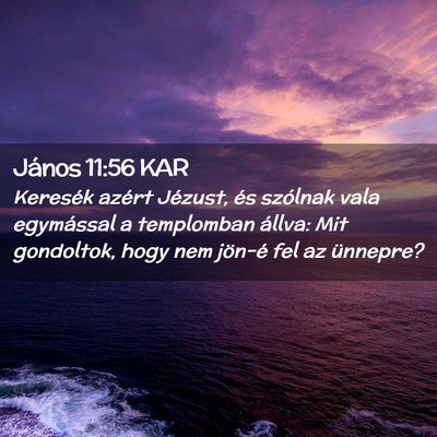 Picture 02 - János 11:56 KAR - Keresék azért Jézust, és szólnak vala - Bible Verse Picture