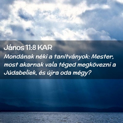 Picture 02 - János 11:8 KAR - Mondának néki a tanítványok: Mester, most - Bible Verse Picture