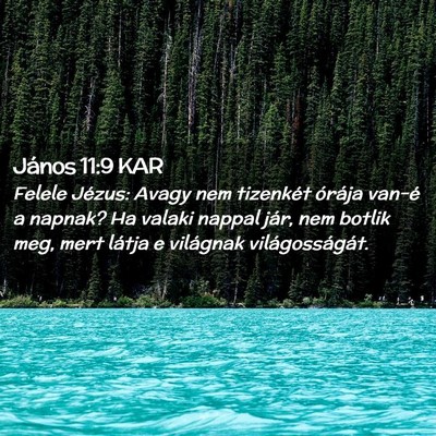 Picture 02 - János 11:9 KAR - Felele Jézus: Avagy nem tizenkét órája van-é - Bible Verse Picture